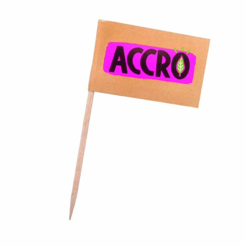 Pic cocktail mini drapeau