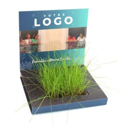 Carte jardin à faire pousser sur bureau | Goodie ludique