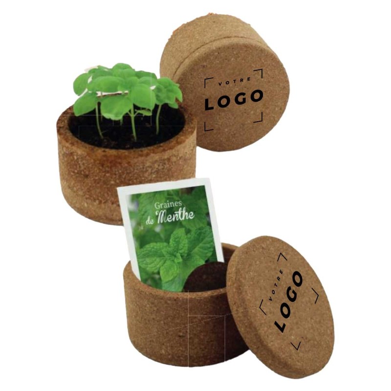 Kit de Plantation Écologique pour Entreprises – Cadeau Client