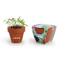 Kit de Plantation Trèfle à 4 Feuilles Personnalisé – Cadeau Écologique