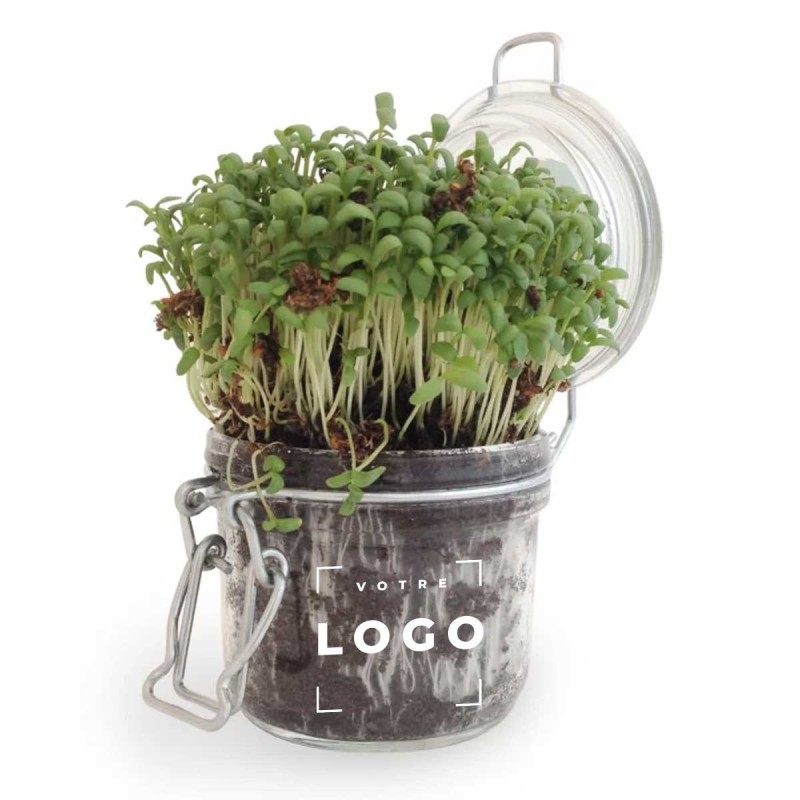 Kit de Plantation en Bocal Personnalisé – Cadeau Écologique