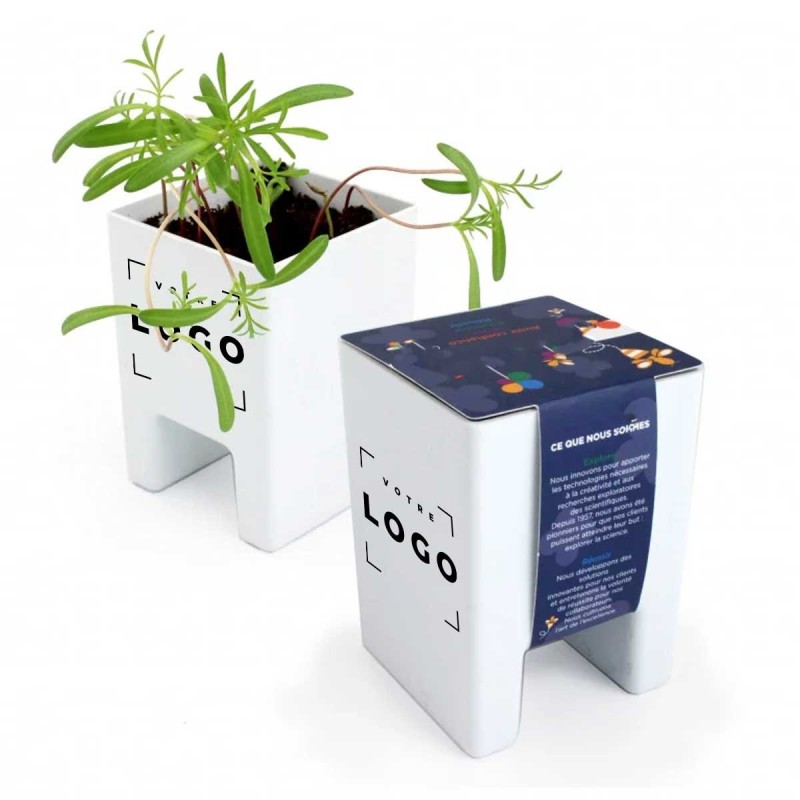 Kit de Plantation pour Écran d’Ordinateur Personnalisé