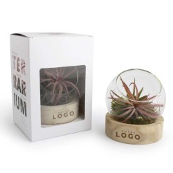 Terrarium Personnalisable – Goodie Écologique et Pratique