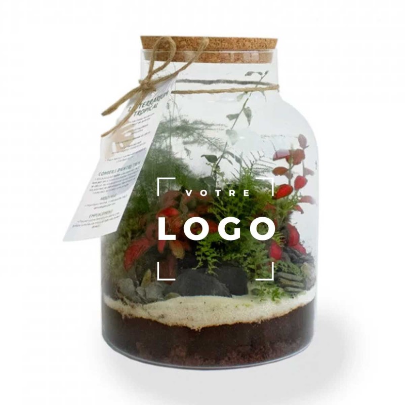 Terrarium Modèle Confort – Objet Publicitaire Végétal Personnalisable