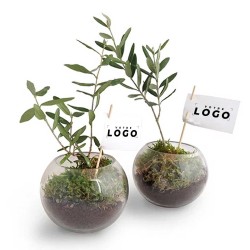 Globe Arbre Personnalisable – Objet Végétal et Écoresponsable