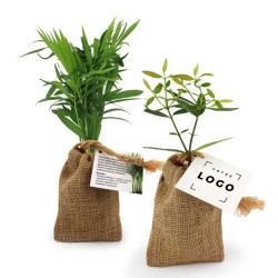 Pochon avec Plant d’Arbre – Cadeau Écoresponsable et Personnalisable