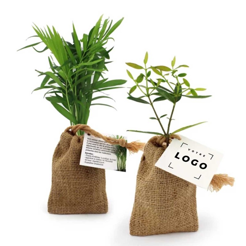 Pochon avec Plant d’Arbre – Cadeau Écoresponsable et Personnalisable