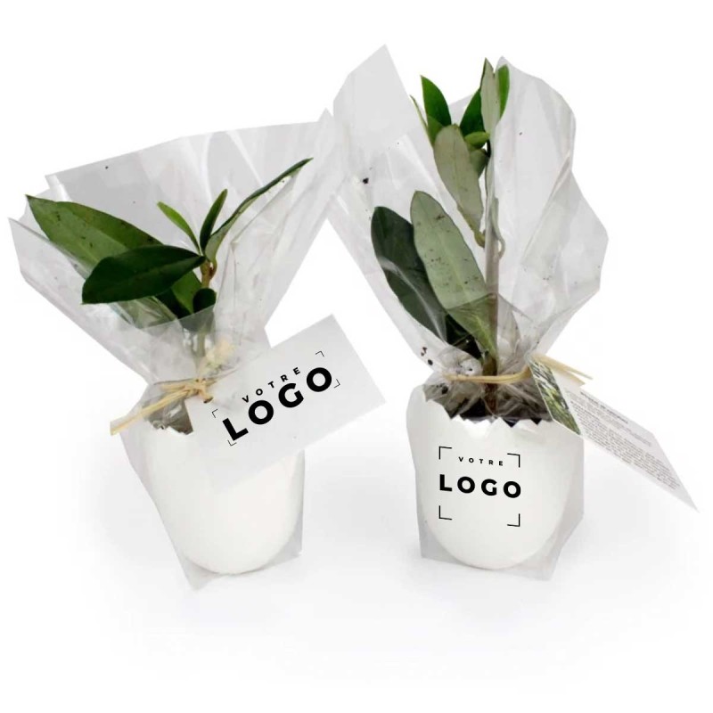 Pot Œuf Végétal – Mini Arbre Personnalisable pour Entreprises