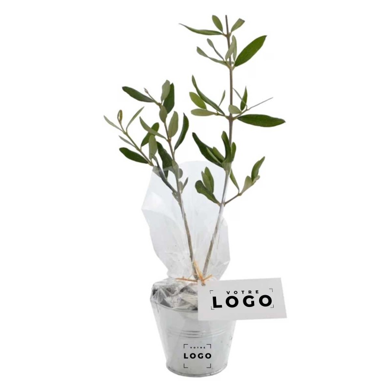 Plant d’Arbre en Pot Zinc 8 cm – Mini Arbre Personnalisable