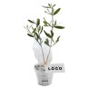 Plant d’Arbre en Pot Zinc 8 cm – Mini Arbre Personnalisable