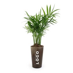 Gobelet Lin avec Plante Verte – Goodie Écologique et Personnalisable