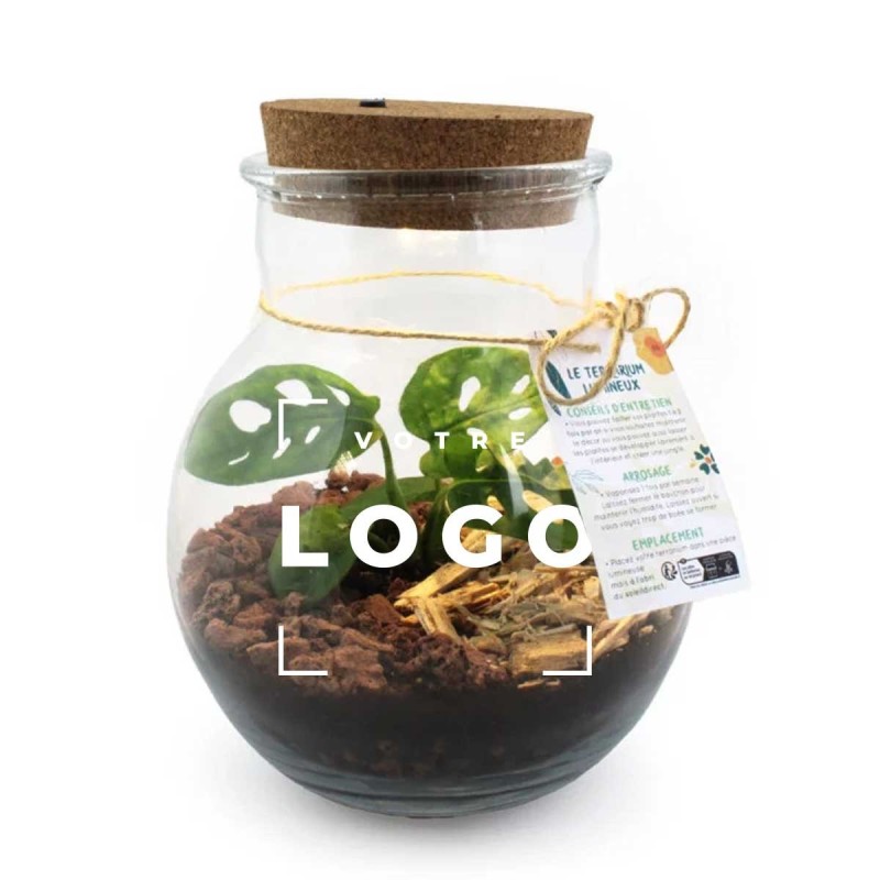 Terrarium Lumineux Made in France – Mini-Jardin LED Personnalisable