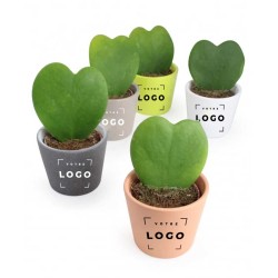Plante grasse cœur personnalisable – Cadeau d’entreprise original