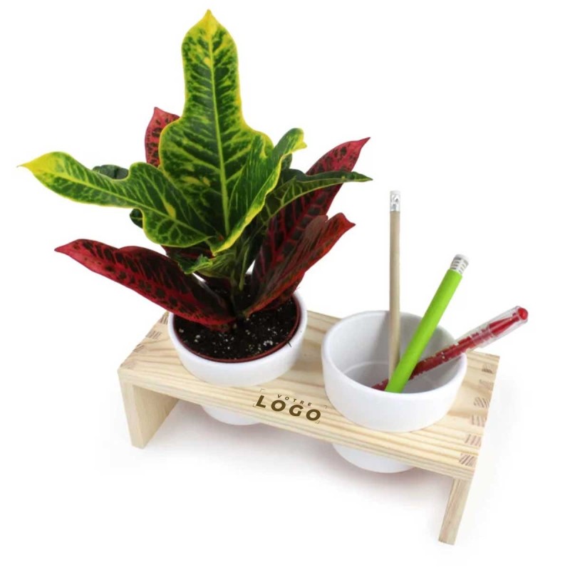 Plateau Bois avec Plantes et Pots | Cadeau d’Entreprise