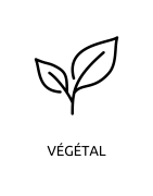 Végétal