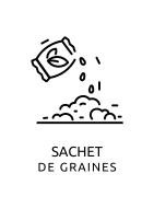 Sachets de graines personnalisés | Cadeaux écologiques & originaux