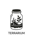 Terrariums – Décoration Naturelle et Élégante pour Intérieur