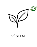 Végétal
