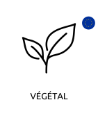 Végétal